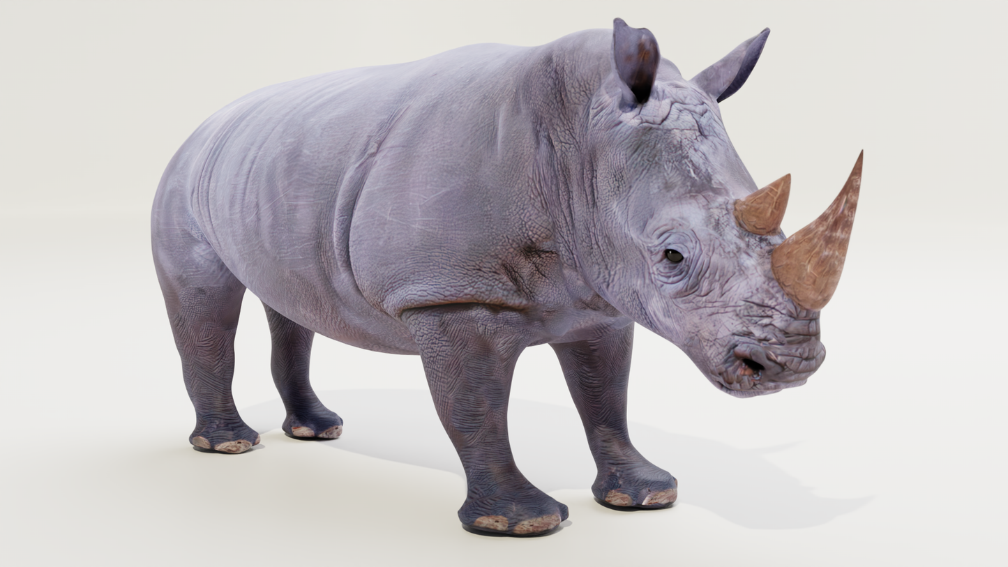 White rhino 3D model