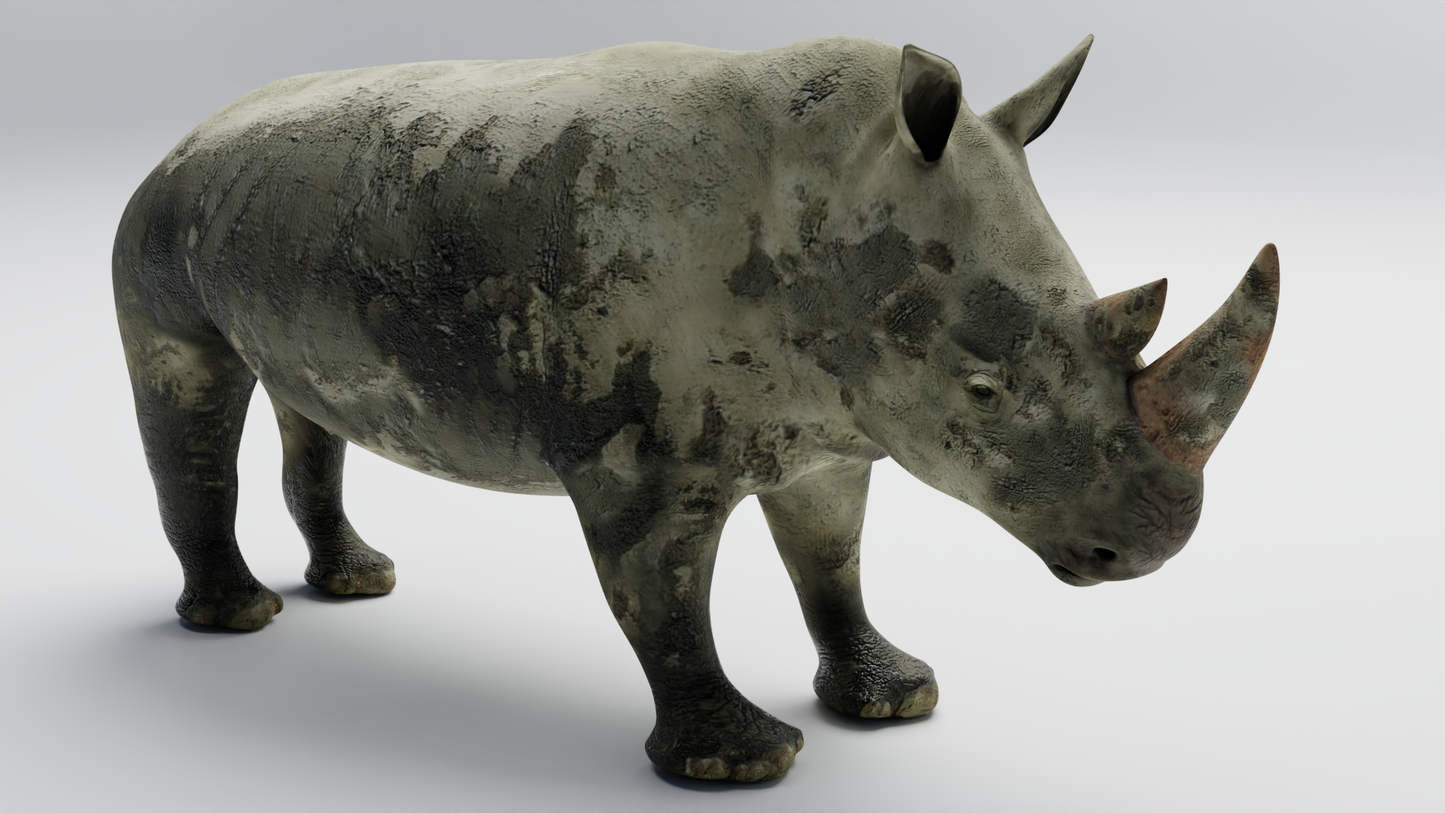 Rhino muddy 3D model