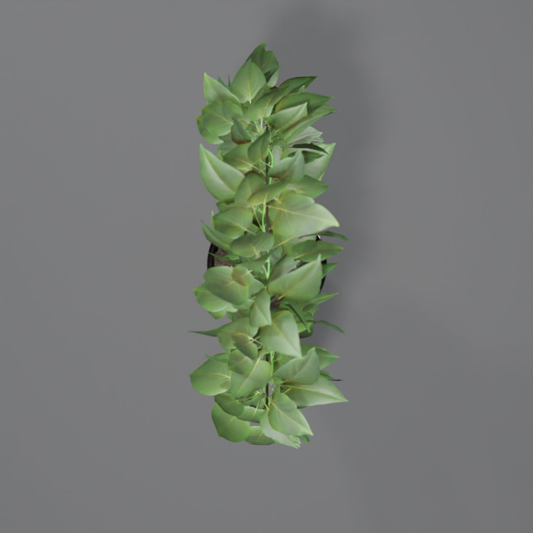 Circular Pot plant 3D model