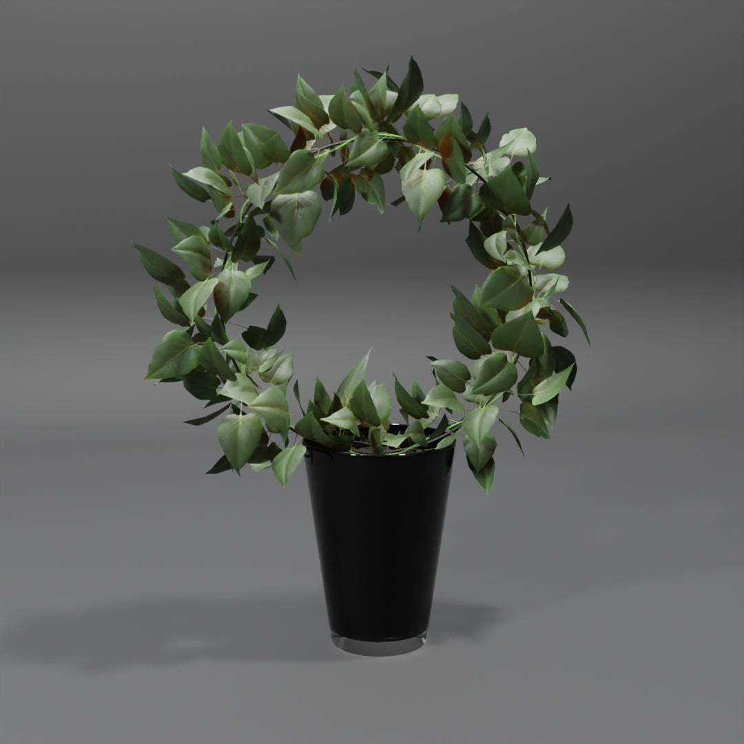 Circular Pot plant 3D model