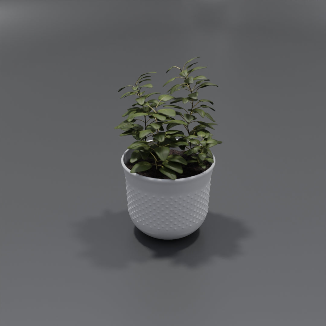 Pot plant 3D model