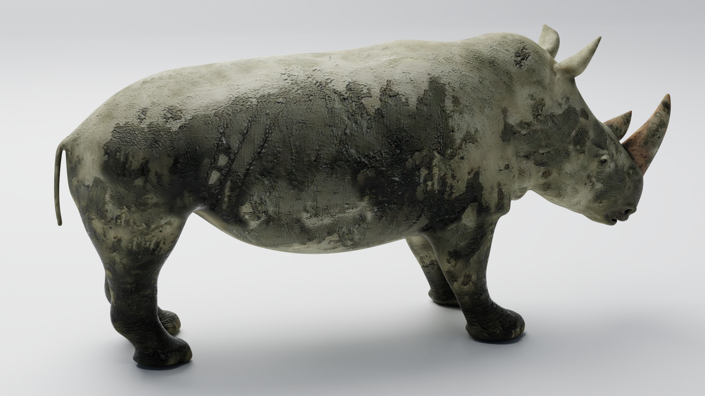 Rhino muddy 3D model