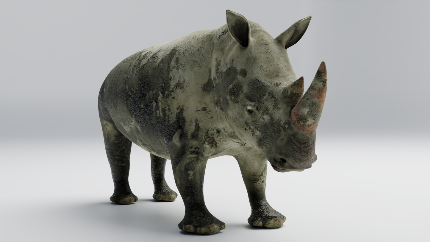 Rhino muddy 3D model