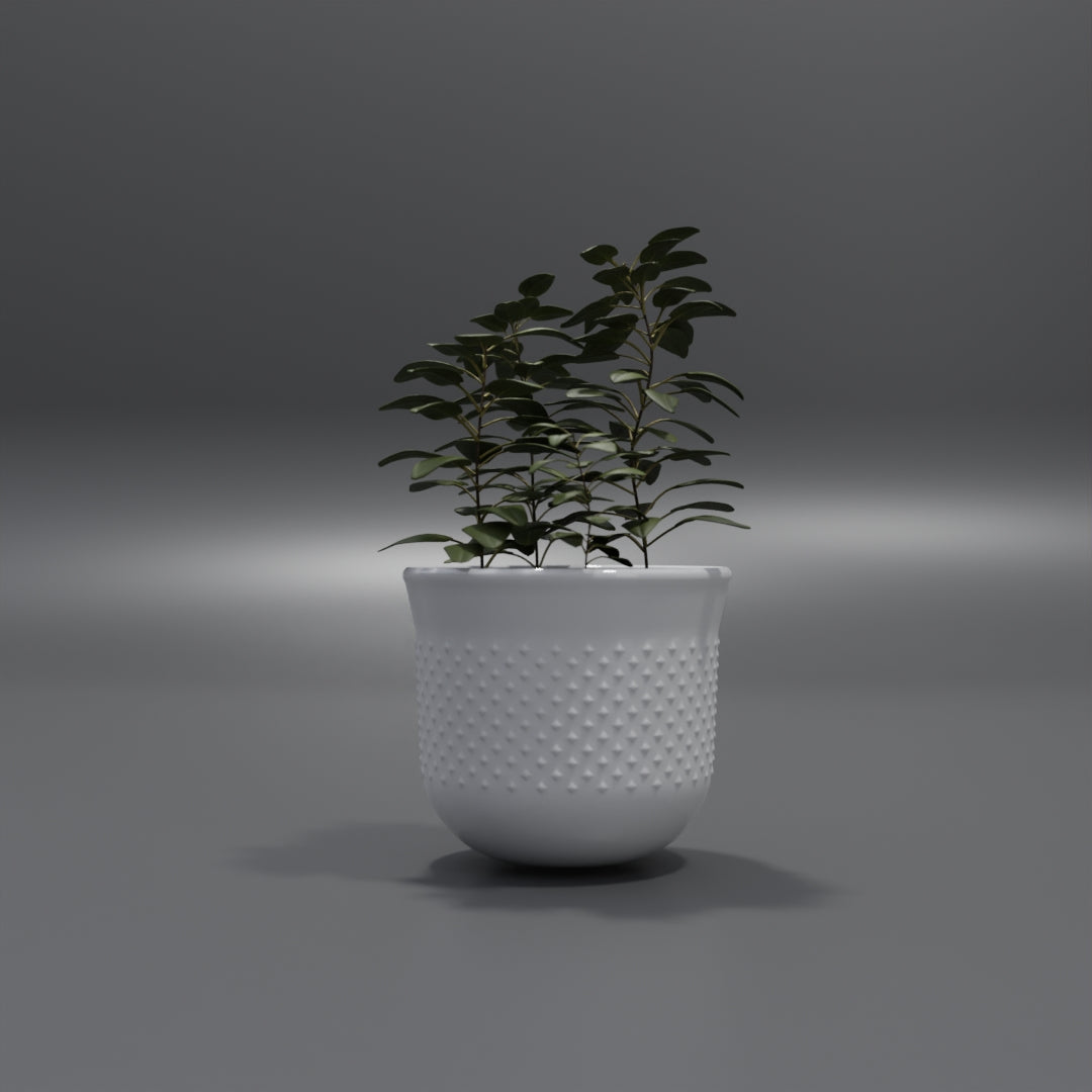 Pot plant 3D model