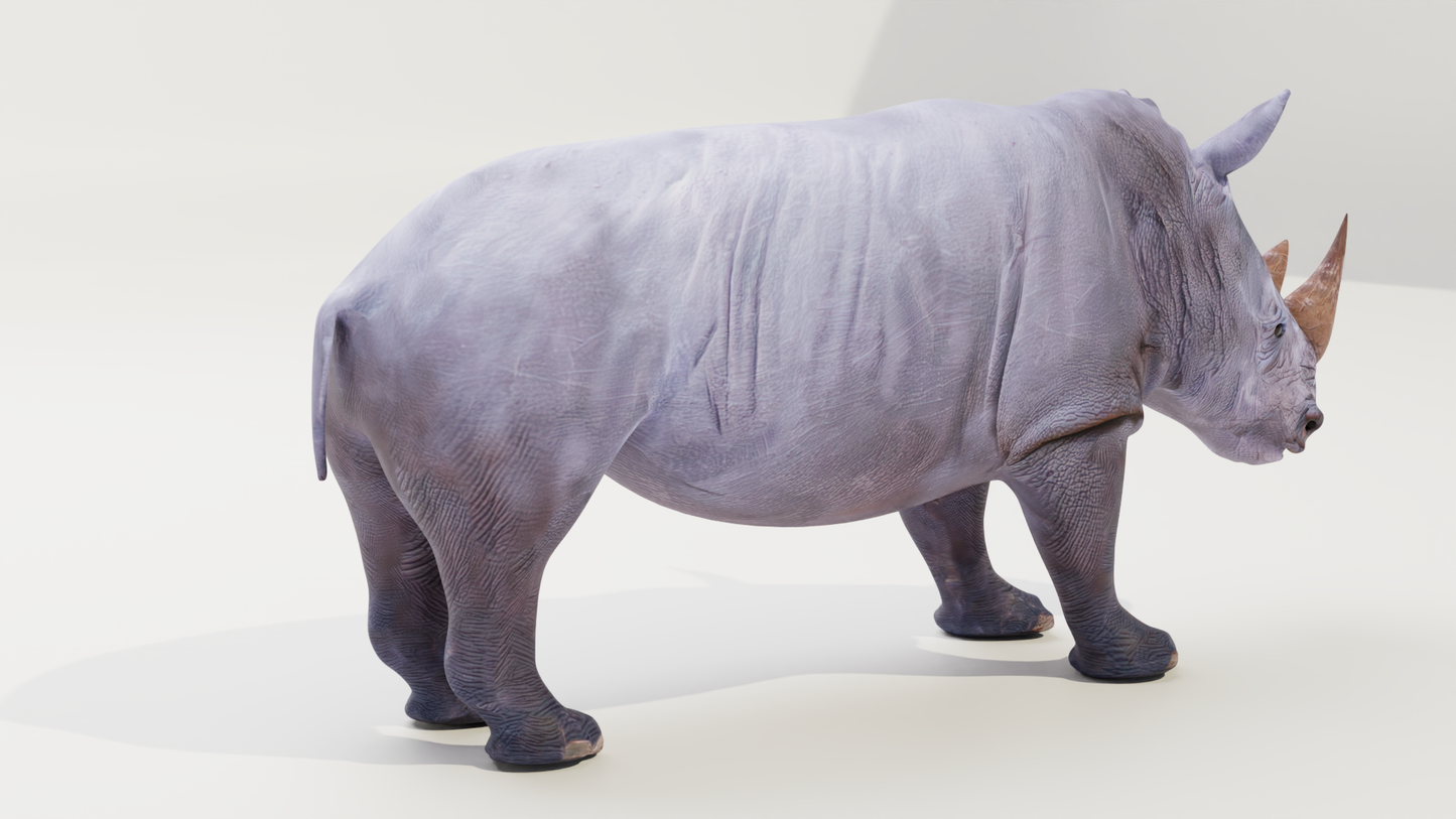 White rhino 3D model