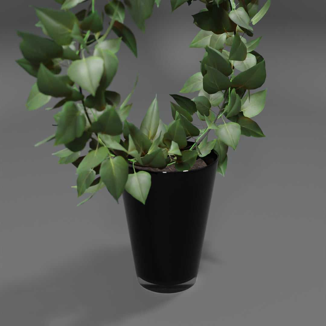 Circular Pot plant 3D model