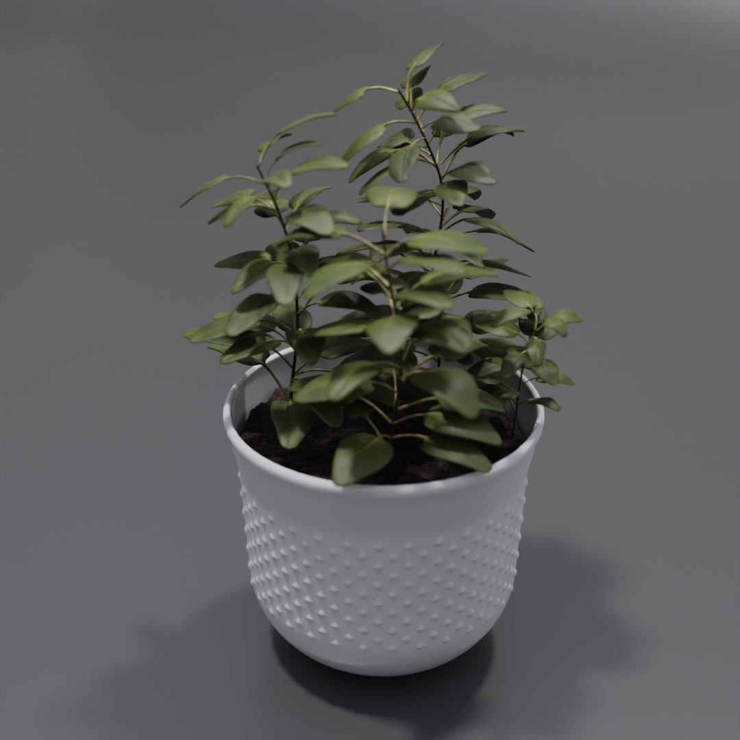 Pot plant 3D model