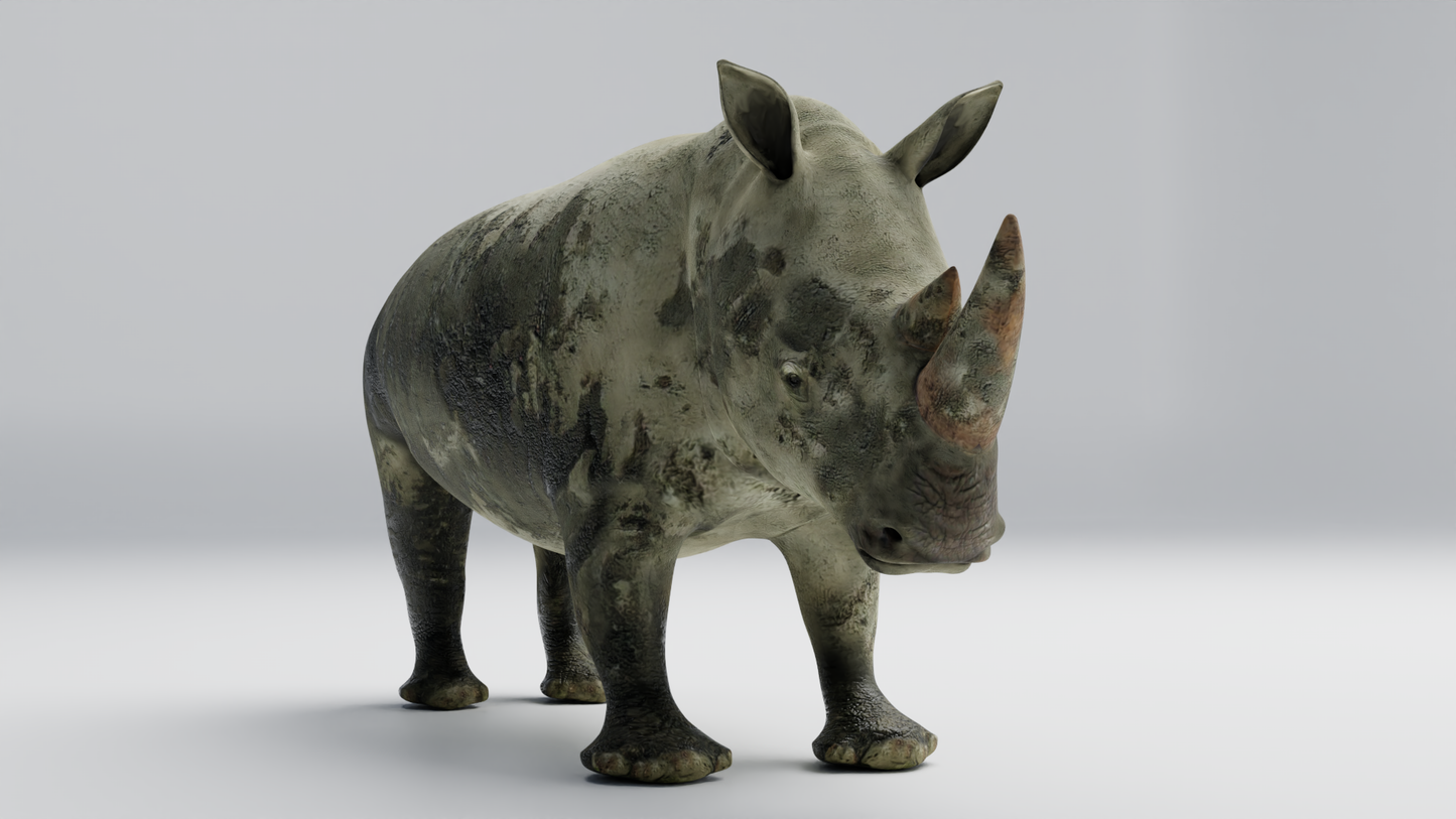 Rhino muddy 3D model
