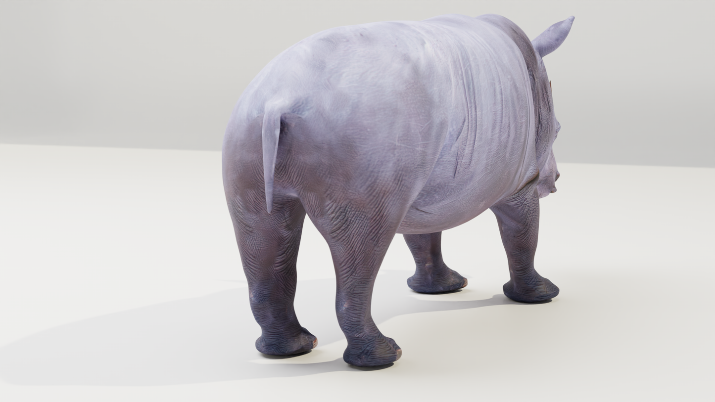 White rhino 3D model