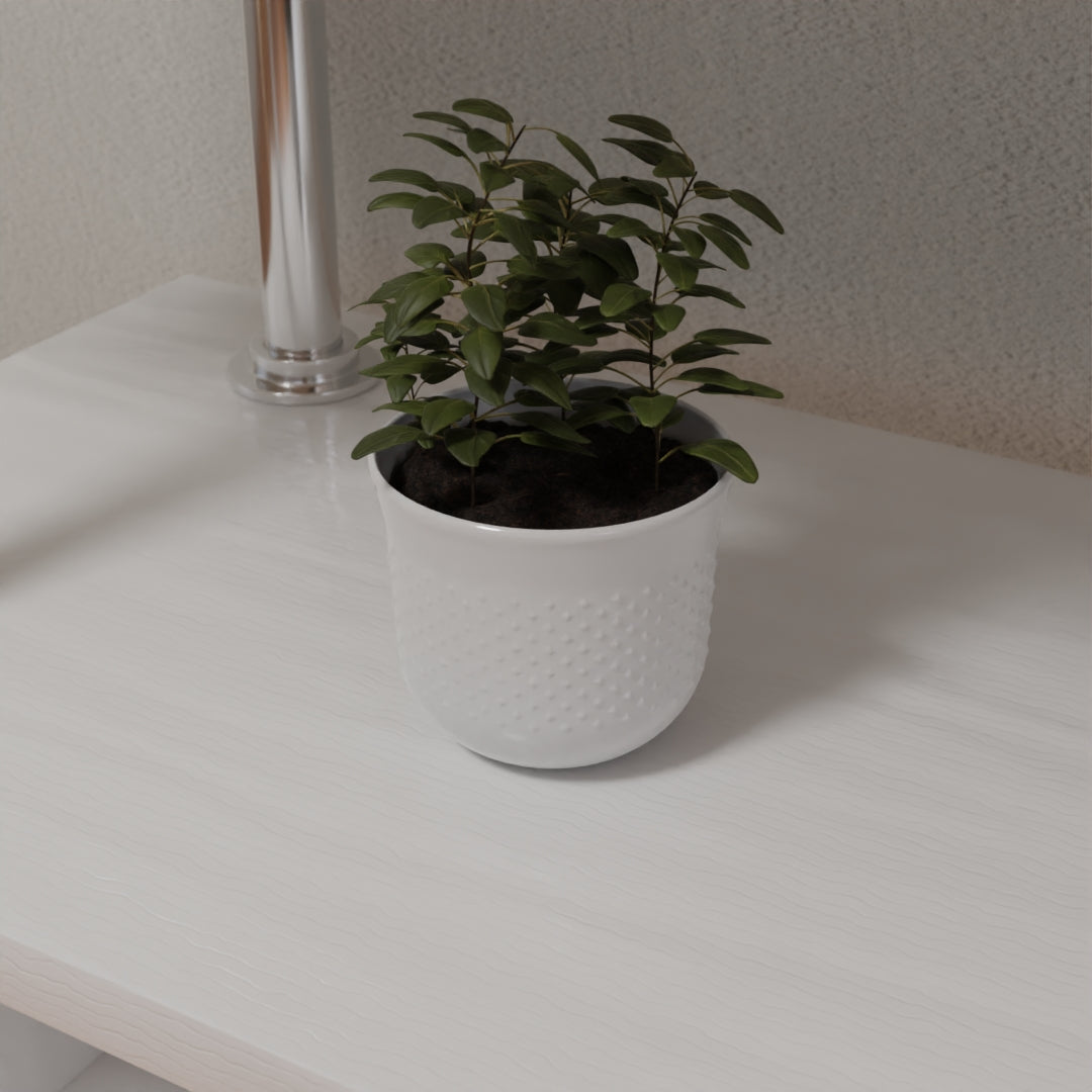 Pot plant 3D model
