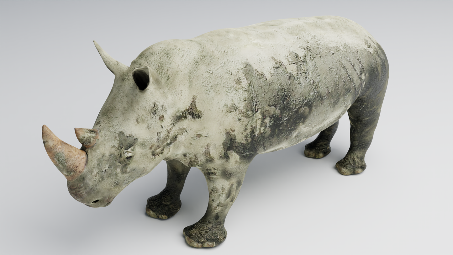Rhino muddy 3D model