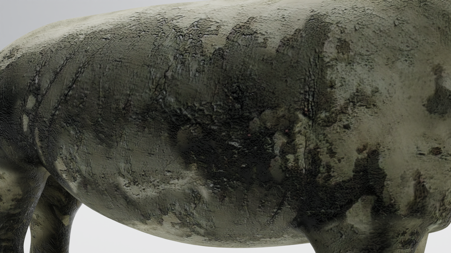 Rhino muddy 3D model