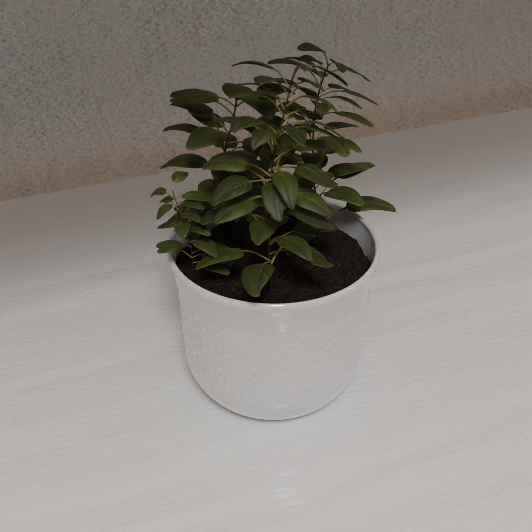 Pot plant 3D model