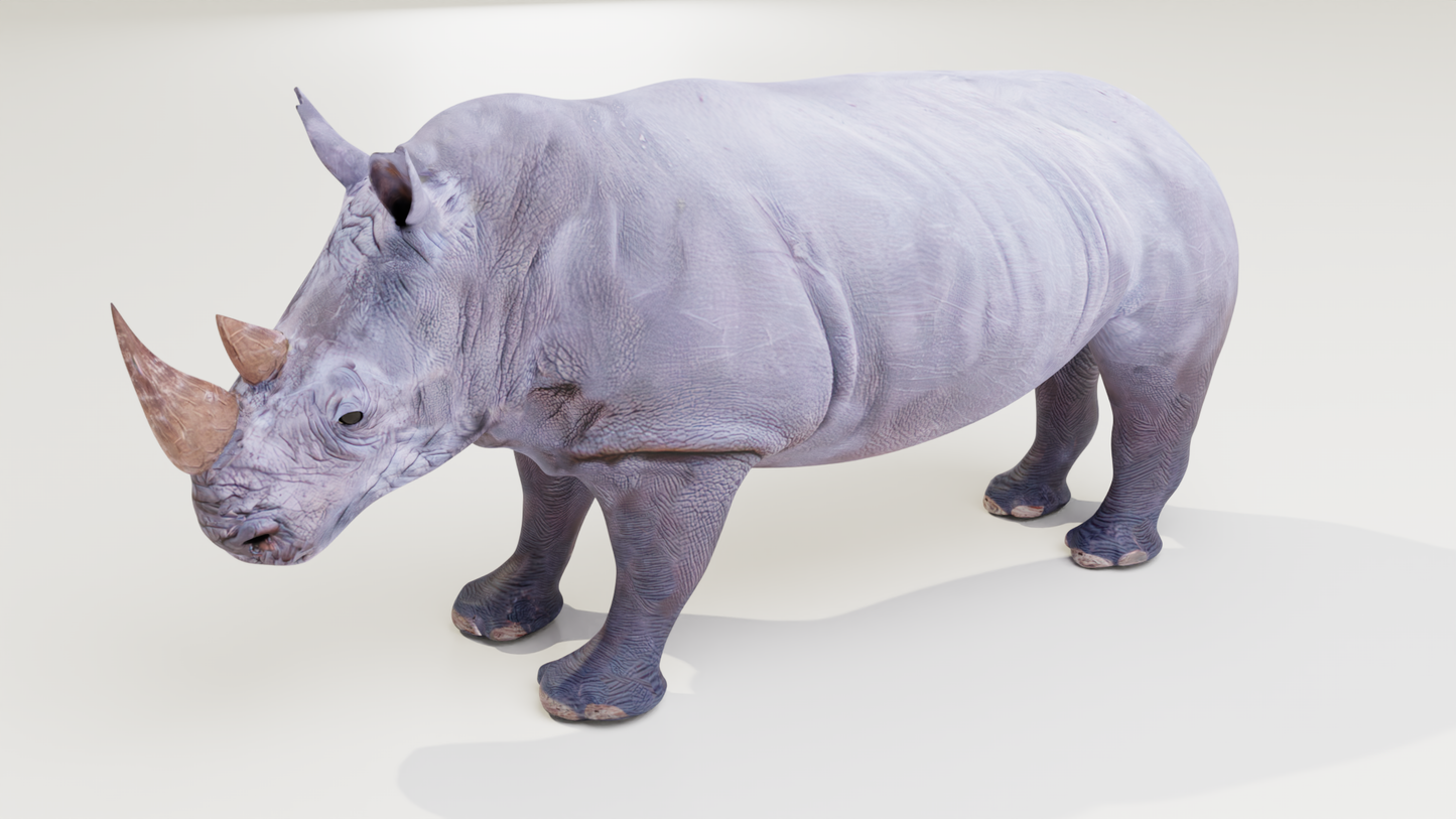 White rhino 3D model