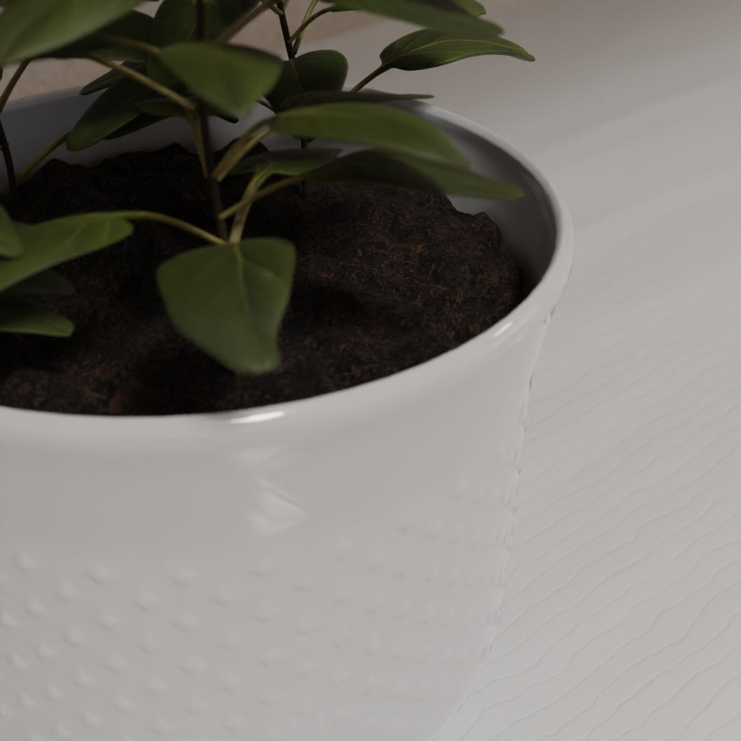 Pot plant 3D model