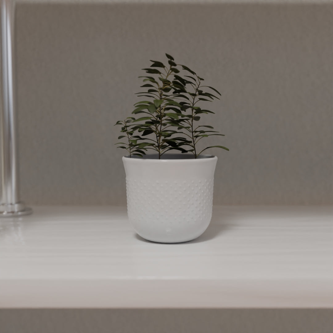 Pot plant 3D model