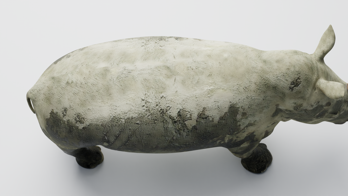 Rhino muddy 3D model