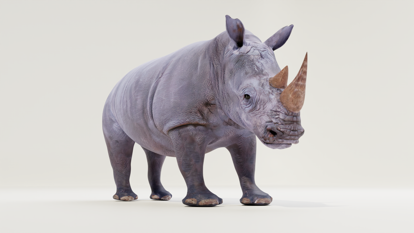 White rhino 3D model