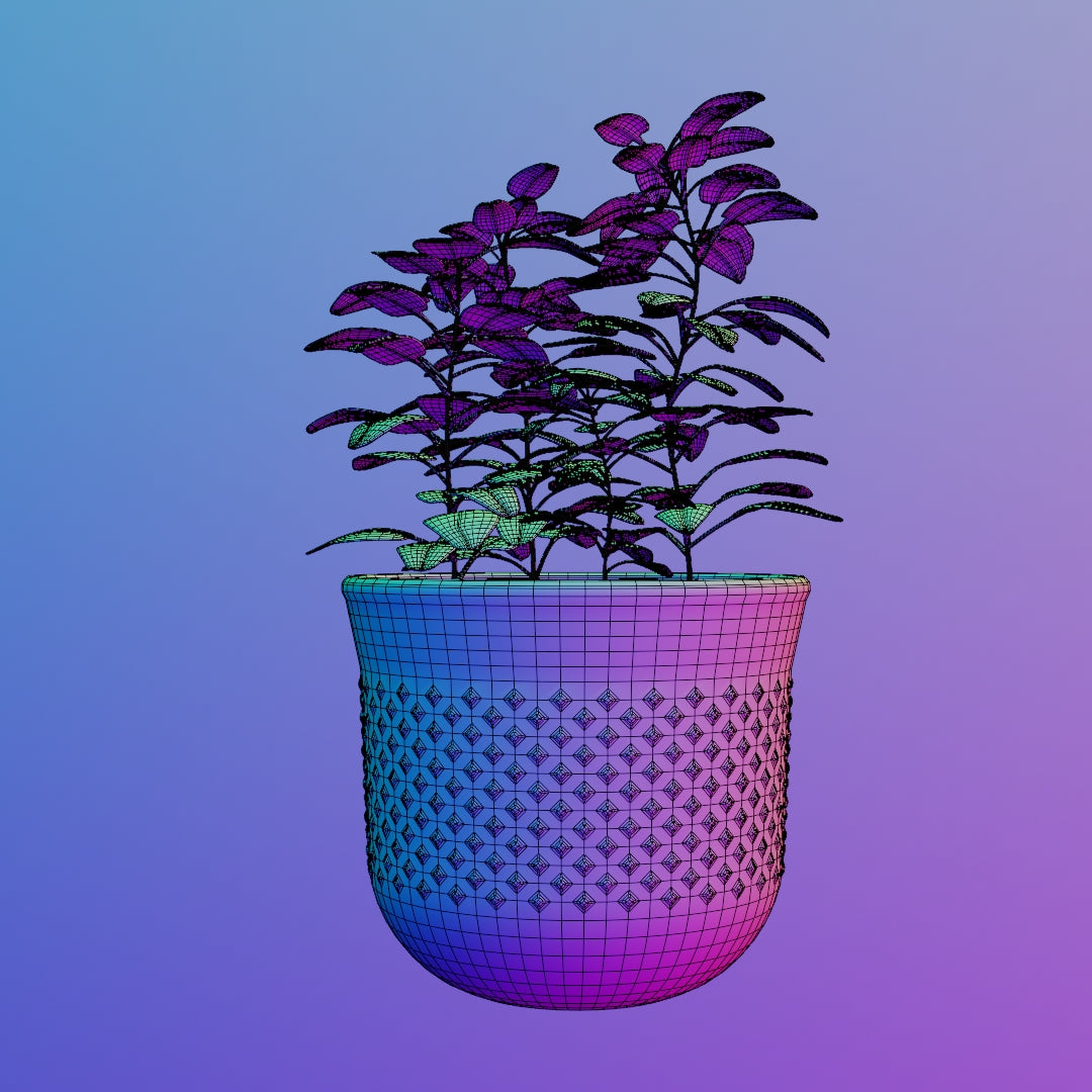 Pot plant 3D model