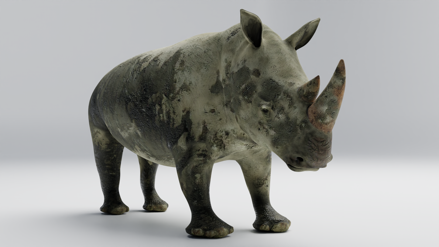 Rhino muddy 3D model