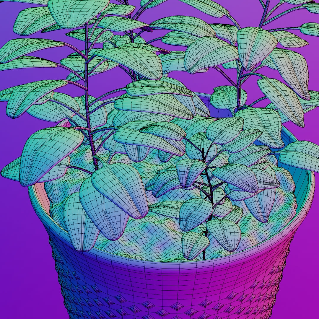 Pot plant 3D model
