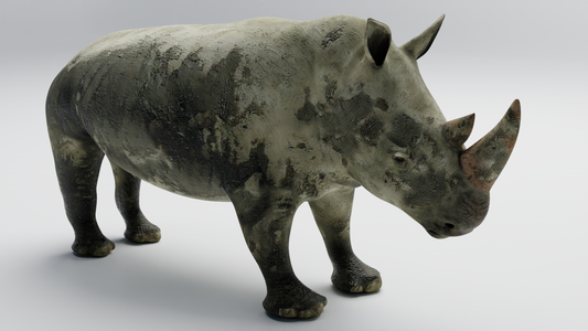 Rhino muddy 3D model