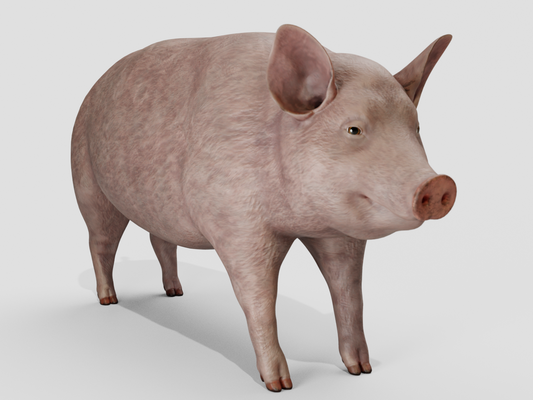 Pig realistic