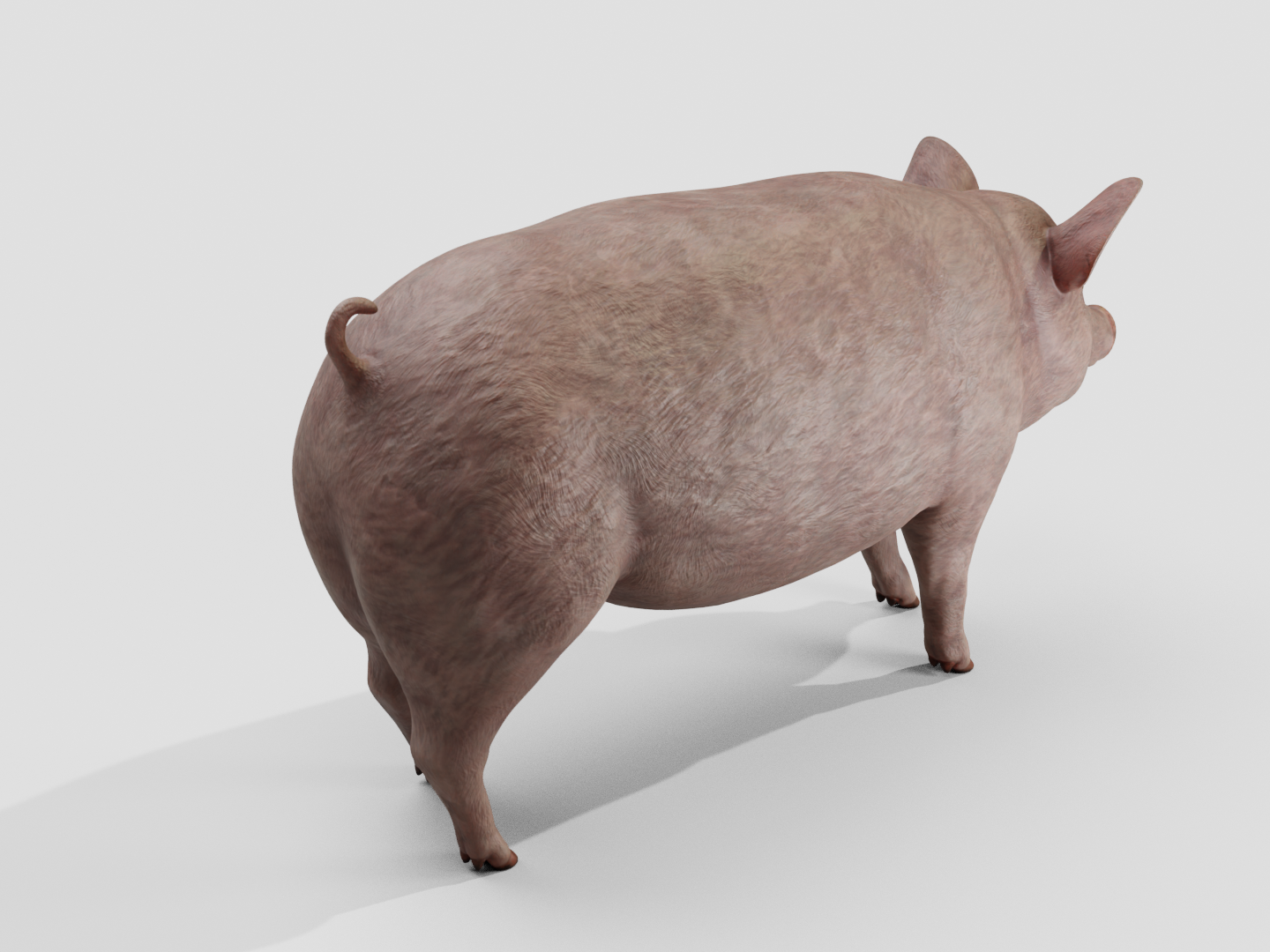 Pig realistic