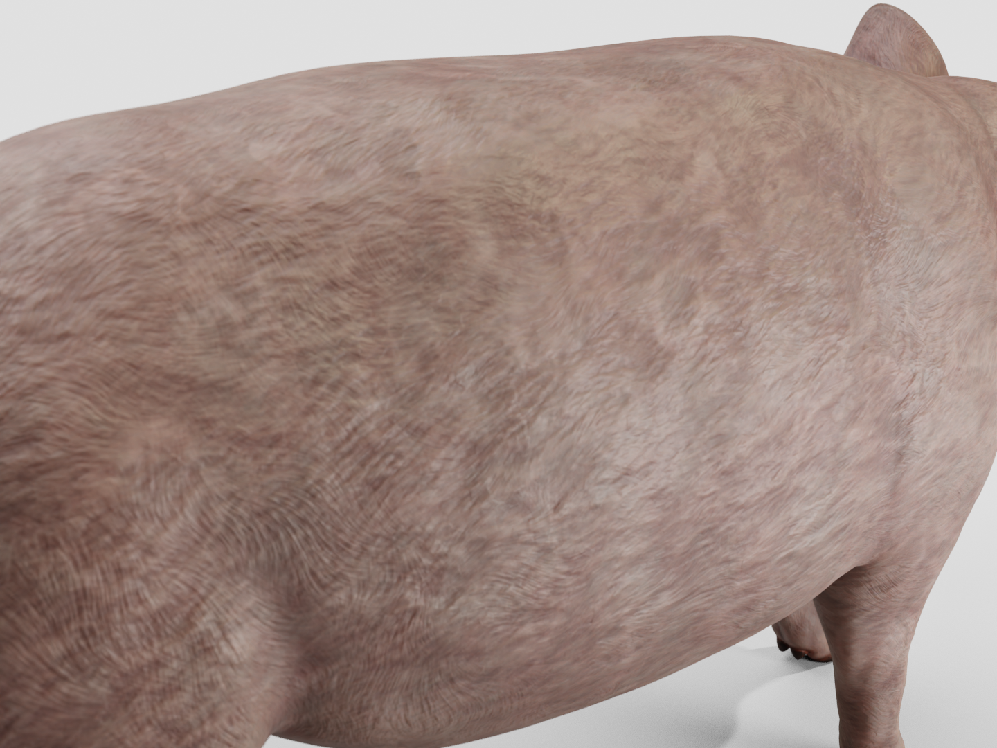 Pig realistic