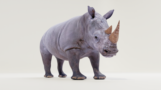 White rhino 3D model
